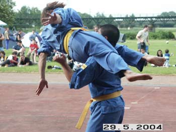 Vovinam Viet Vo Dao